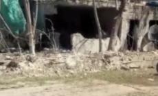 Siria: bombardato l'ospedale dei bambini a Idlib