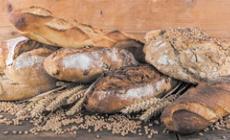 Investindustrial: Csm Ingredients cresce e compra la parmigiana Hi-Food
