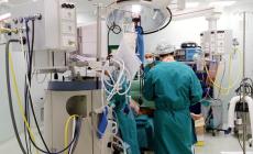 "Io trapiantata, mi sono ammalata di Covid:  grazie ai medici del Maggiore che mi hanno curata a tempo di record"