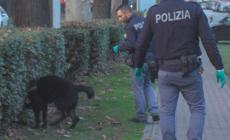 Controlli anti-droga in città: sequestri e due espulsioni