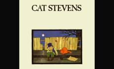  45 anni di Cat Stevens "Teaser and the firecat"