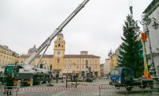 Svetta in piazza l'albero di Natale dei parmigiani 
