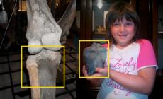Emma (8 anni) e il mammuth ritrovato