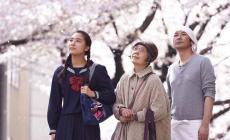 Le ricette della signora Toku - Poesia e delicatezza