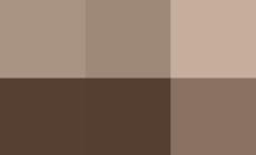 Alla Ubik lo scrittore veste i panni del commesso