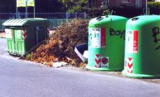 I rami "parcheggiati" in via Mascagni 