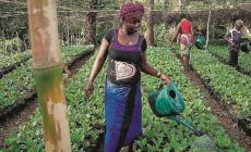 Scatti parmigiani per l'Africa che vuole rinascere