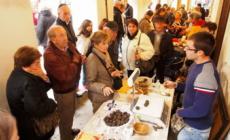 I sapori dell'autunno: 5 appuntamenti da non perdere