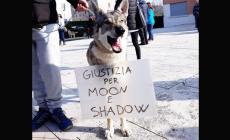  Raduno di amici per ricordare Moon e Shadow