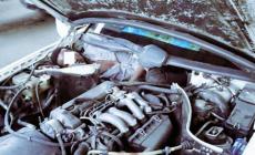 Ceuta: migranti nascosti nel vano motore