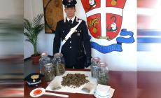 In garage il deposito della droga: arrestato operaio a Gattatico