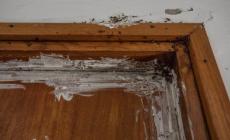 Via Buffolara, condominio invaso dagli scarafaggi, inquilini «in trincea»