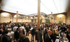 Debutta l'annata 2015 del Brunello di Montalcino