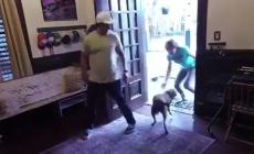 L'astronauta  Christine Koch torna dopo un anno e il cane impazzisce di gioia - Video 