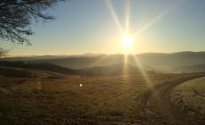 Tra sole e nebbia: i due mondi del Parmense