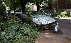 L'albero crolla sull'auto (abbandonata)