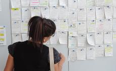53 opportunità per chi cerca un lavoro