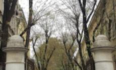  Il tè del martedì sull'arte rinascimentale