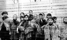 Auschwitz, il dramma dei bimbi parmigiani