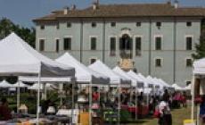 Mercatini, pic nic e show golosi:  ecco De Gustibus