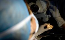 Cade il divieto alle coppie fertili