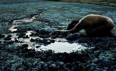 "Madre Terra": la mostra di Greta Guidotti