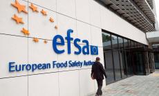 Rafforzati i controlli davanti a Efsa e sinagoga