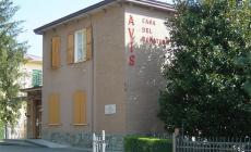 Avis, 50 candeline: festa in piazza