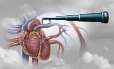 Cuore matto? Come prevenirlo e cosa fare per farlo «rinsavire» 