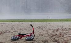 La nebbia nel laghetto