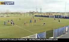 La Spal a porte chiuse? In curva ci saranno le bandierine...  Spadafora: 'Partite in chiaro'. Figc: 'Siamo d'accordo'. Ma la Lega dice no