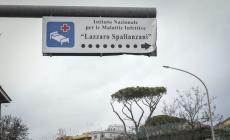 Allo Spallanzani 65 casi di coronavirus, per 9 supporto respiratorio