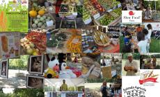 Slow Food Valley, un Ritrovo per un Cammino