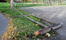 Felegara, vandali al parco: distrutte le  staccionate