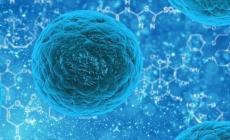 Coronavirus, da comparto farmaceutico e sindacati nuovo avviso comune