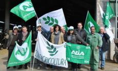 Il flash mob "Sos" degli agricoltori parmensi