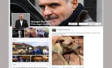 Panariello accoglie cane smarrito: e su Fb 44mila clic