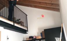 Le sfide del Cus per stare in casa con lo sport: ecco gli allenamenti a domicilio - Video