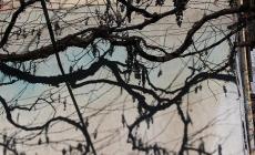 Effetto terra: il mondo in uno scatto