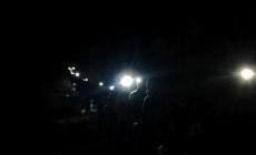 Le voci degli animali in una … Notte di luna nera