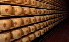"Caso lisozima", il Consorzio del Grana Padano: "Polemica tardiva, noi campioni di trasparenza"