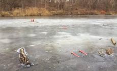 Muore a 11 anni cercando di salvare l'amico finito nel lago ghiacciato