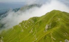 Monte Orsaro: l'abito estivo della montagna...