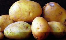 Patate e cacao..che coppia!