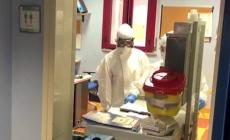 Importante donazione di mascherine da parte dell'Upi - Video