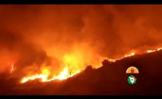 Bosco in fiamme in Versilia