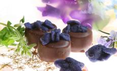 Violetta di Parma Fiore dell'amore