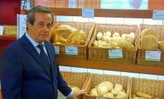 Il marchio "doc" per il pane fresco parla parmigiano