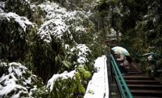 El Nino da record. E in Italia l'inverno sarà più freddo