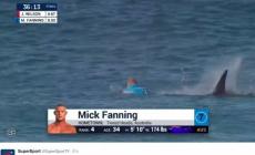 Uno squalo lo attacca, Fanning miracolato